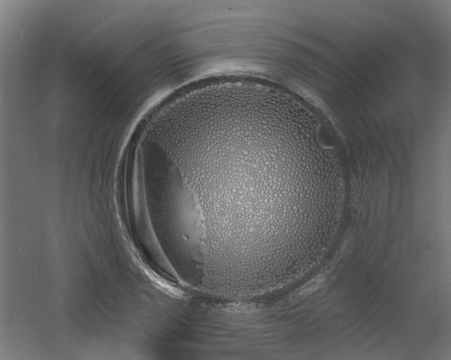 X0000060761029200511101134