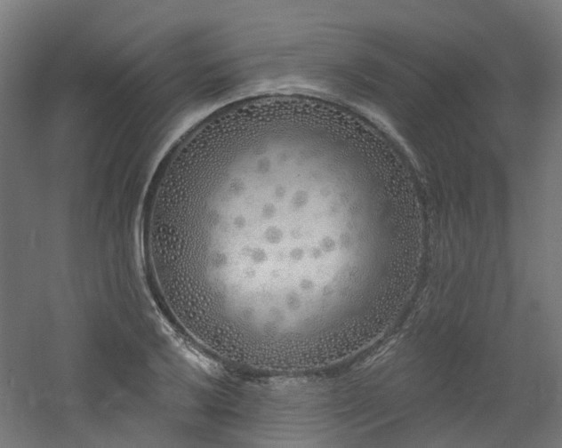 X0000060761032200511101134