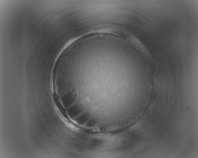 X0000060761036200511101134