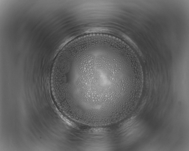 X0000060761041200511101134