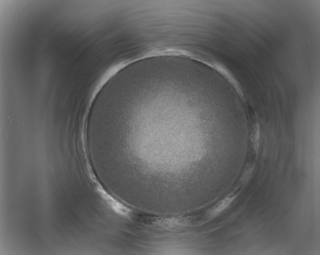 X0000060761054200511101135