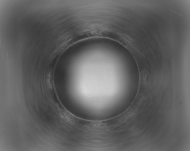 X0000060761060200511101134