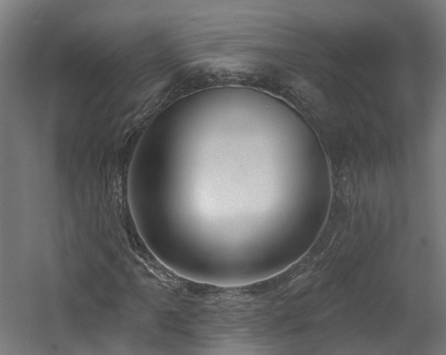 X0000060761061200511101134