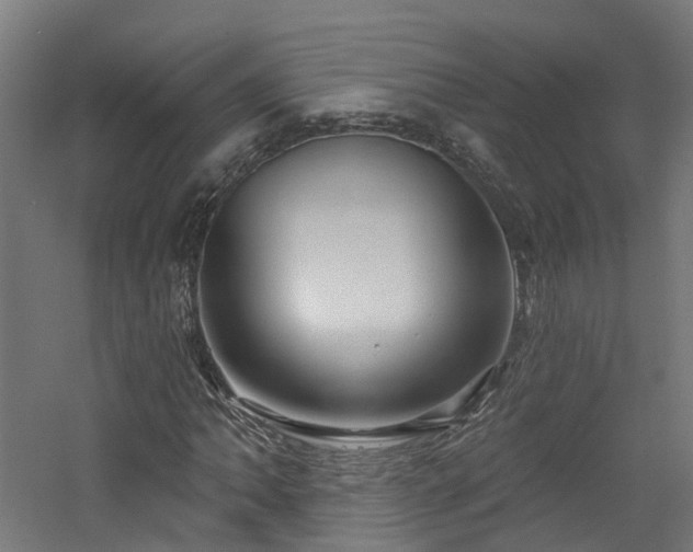 X0000060761062200511101134