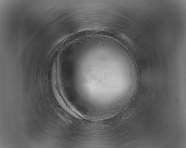X0000060761064200511101134