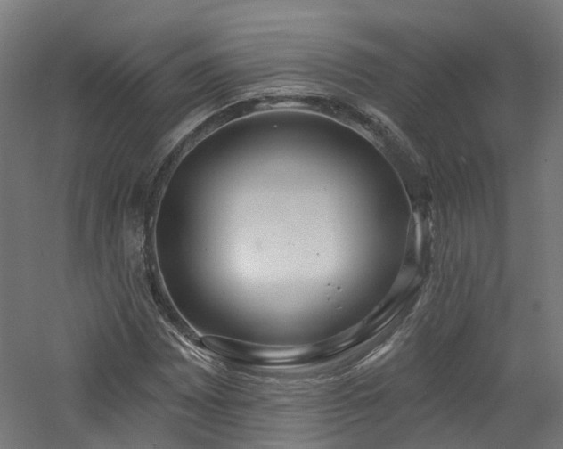 X0000060761065200511101134