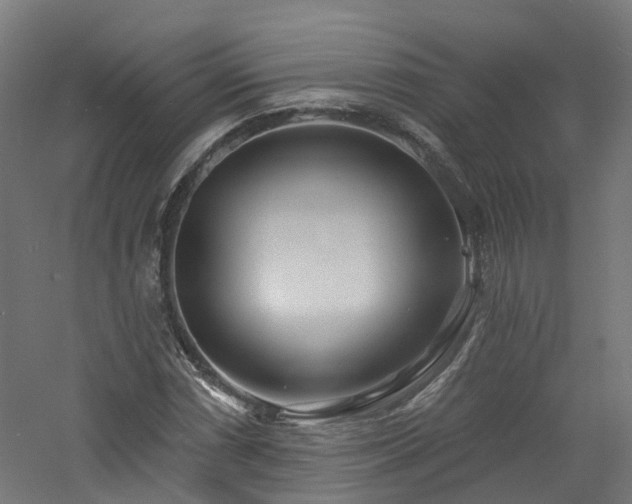 X0000060761066200511101134
