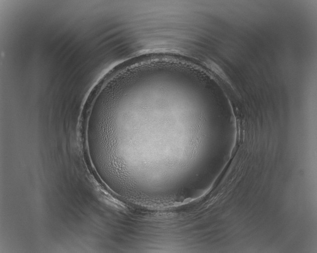 X0000060761068200511101134