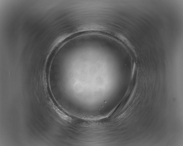 X0000060761072200511101134
