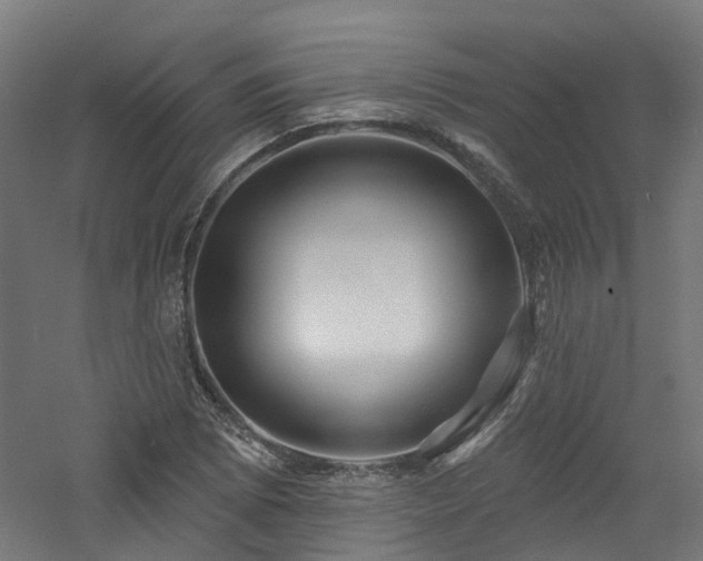 X0000060761073200511101134