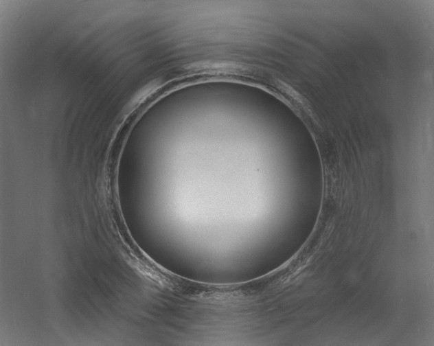X0000060761074200511101134