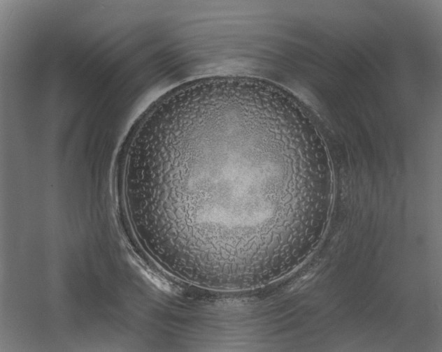 X0000060761078200511101134
