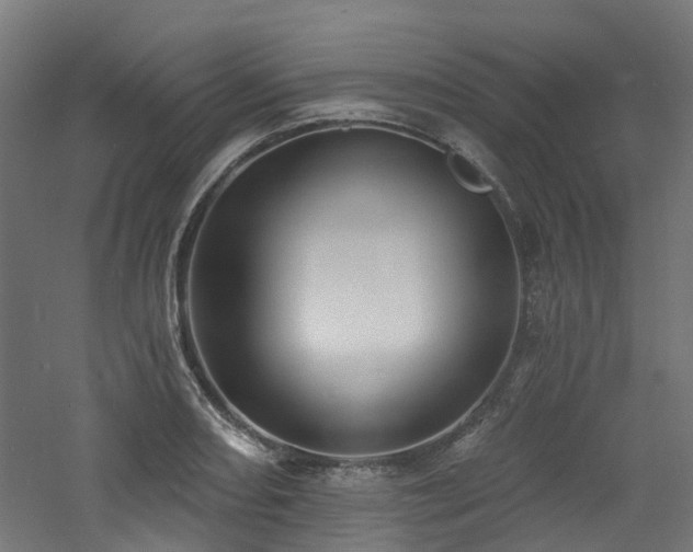 X0000060761082200511101133