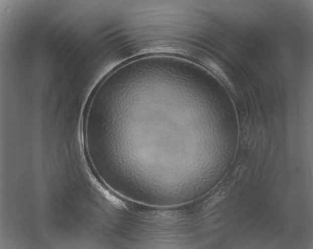 X0000060761084200511101133