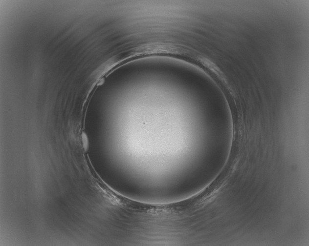 X0000060761089200511101133
