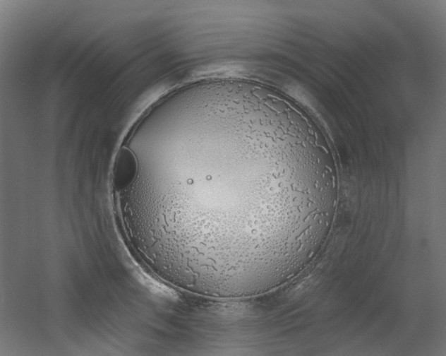 X0000060761090200511101133