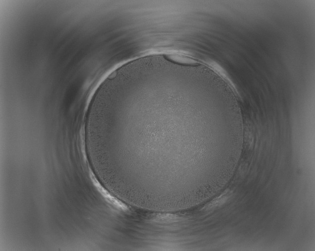 X0000060761100200511101133