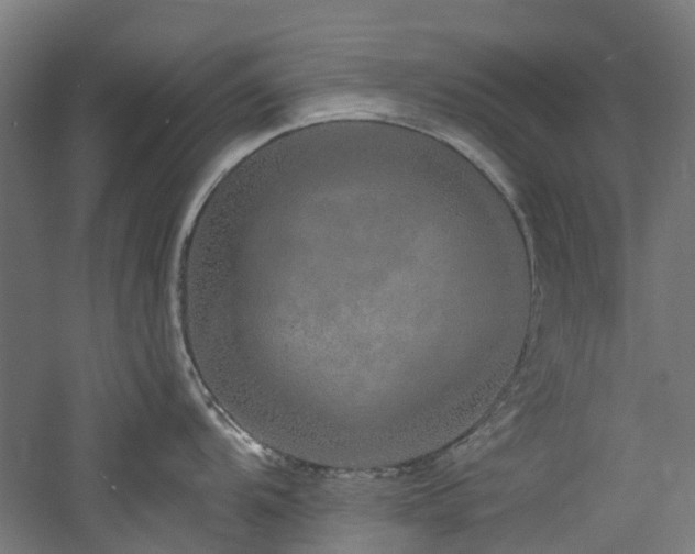 X0000060761104200511101133