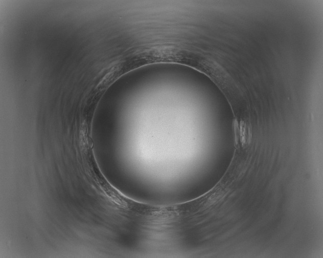 X0000060761107200511101132