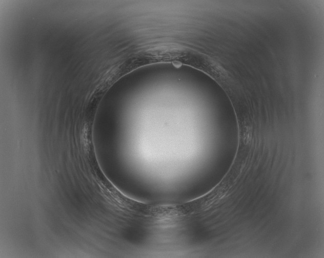 X0000060761108200511101132