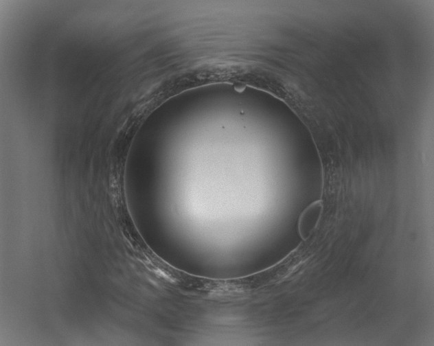 X0000060761109200511101132