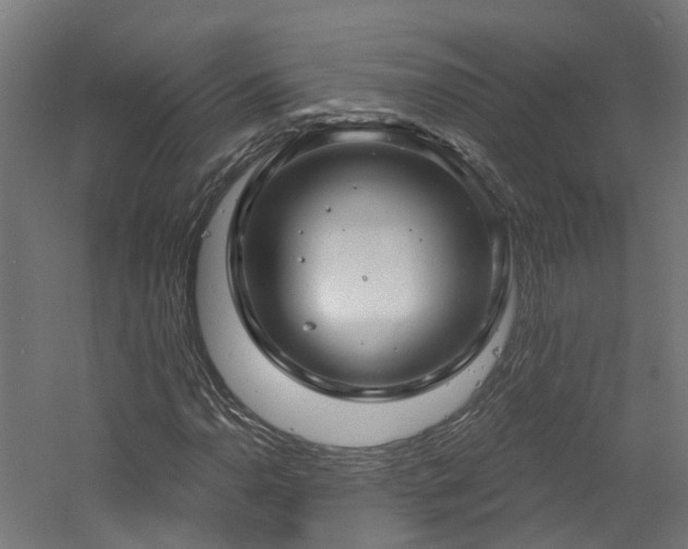 X0000060761110200511101132