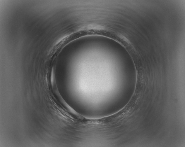 X0000060761112200511101132
