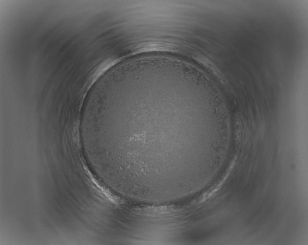 X0000060761121200511101133