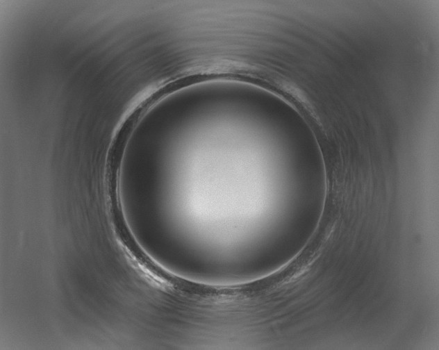 X0000060761122200511101133
