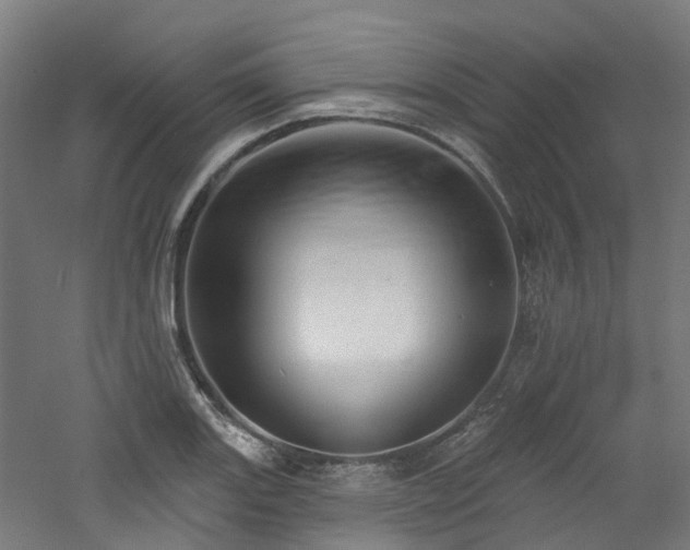 X0000060761131200511101133