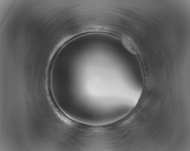 X0000060761136200511101133