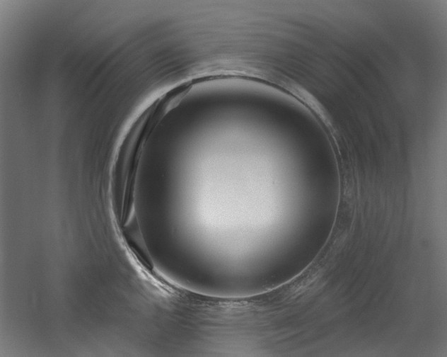 X0000060761144200511101133