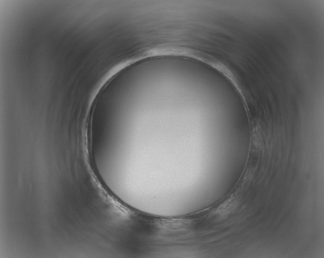 X0000060761150200511101133