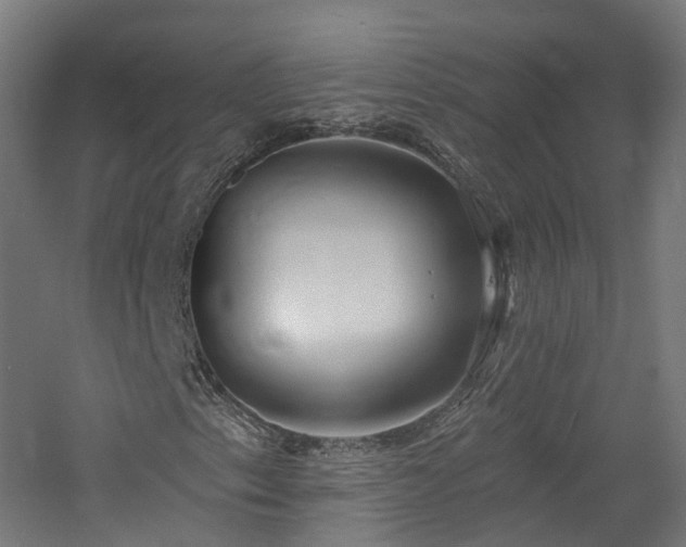 X0000060761153200511101132