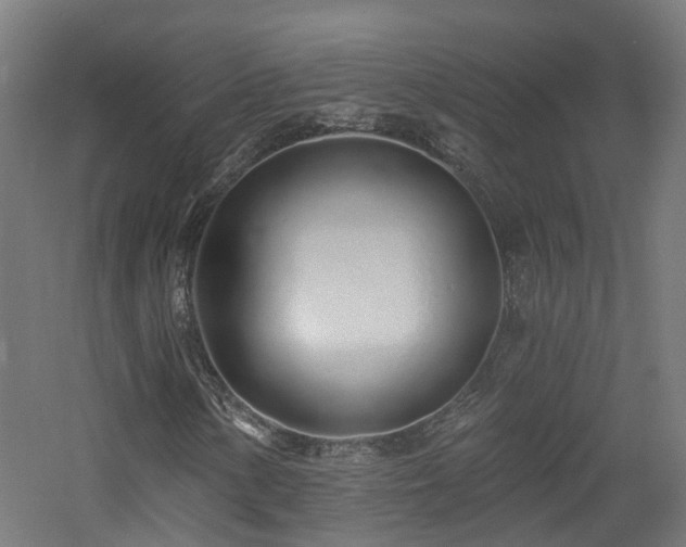 X0000060761154200511101132