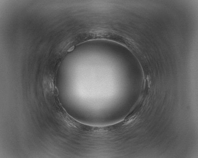 X0000060761155200511101132