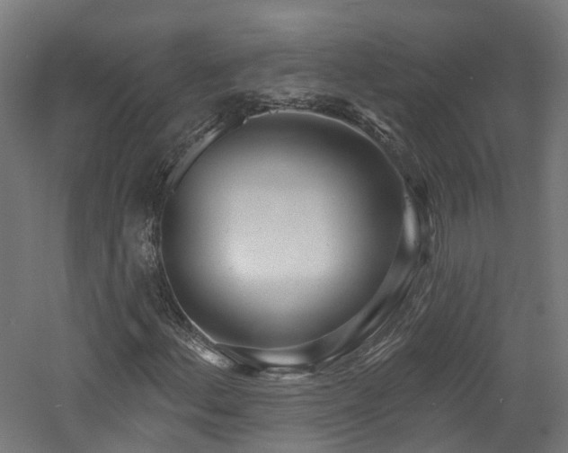 X0000060761156200511101132