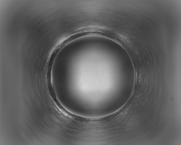 X0000060761164200511101132