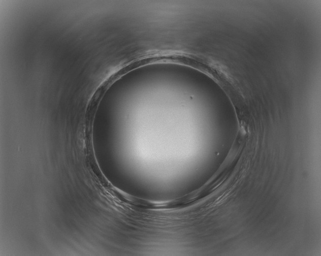 X0000060761165200511101132