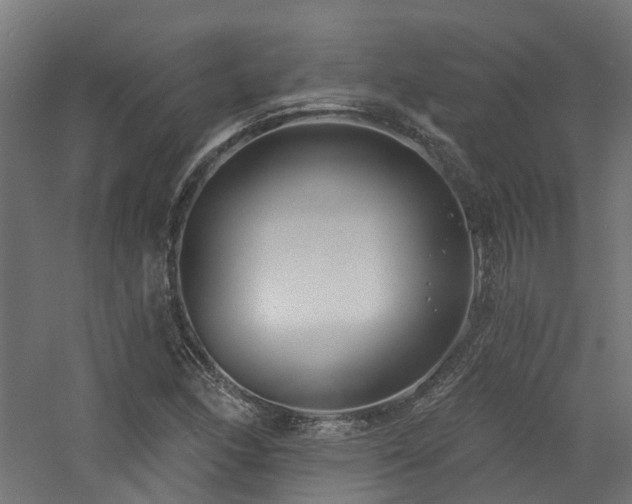 X0000060761166200511101132
