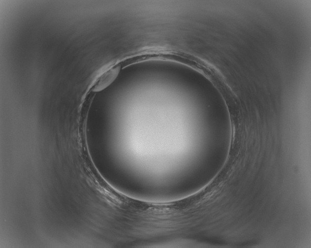 X0000060761168200511101132