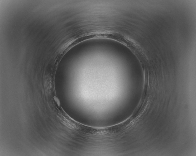 X0000060761169200511101132