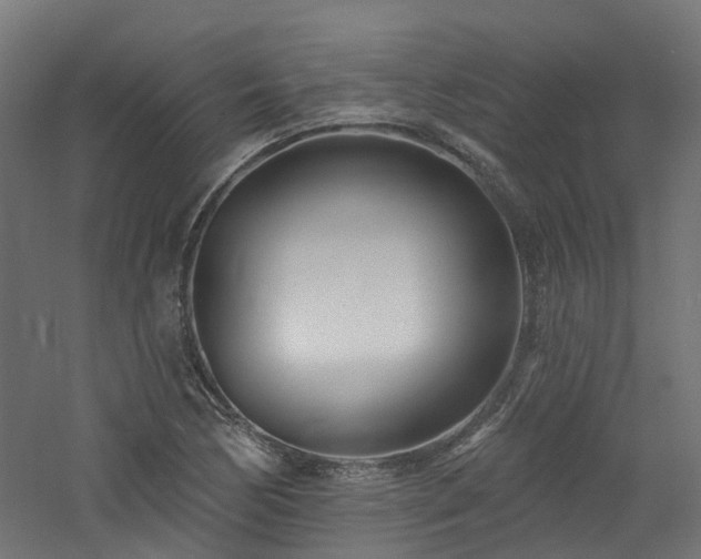 X0000060761170200511101132