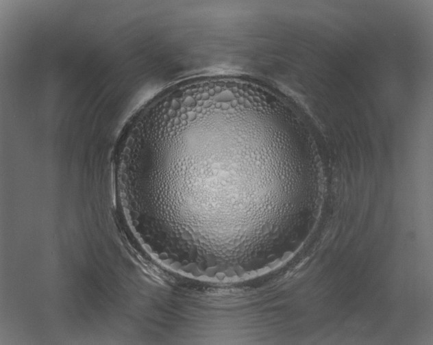 X0000060761171200511101132