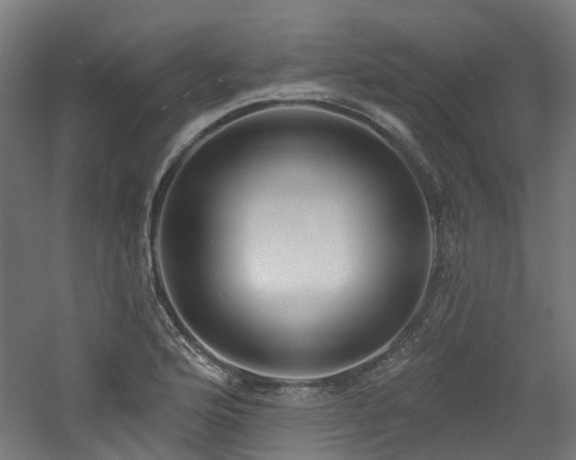 X0000060761176200511101132