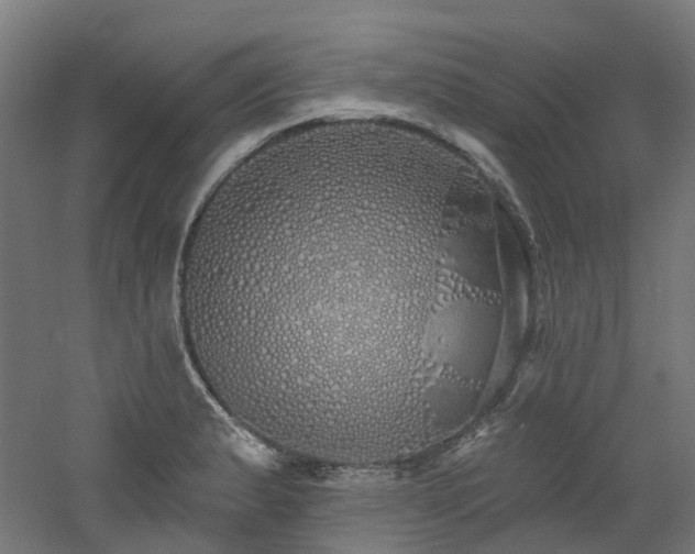 X0000060761183200511101132