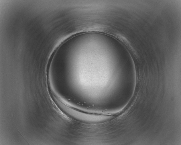 X0000060761184200511101132
