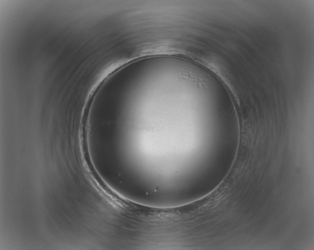 X0000060761187200511101132