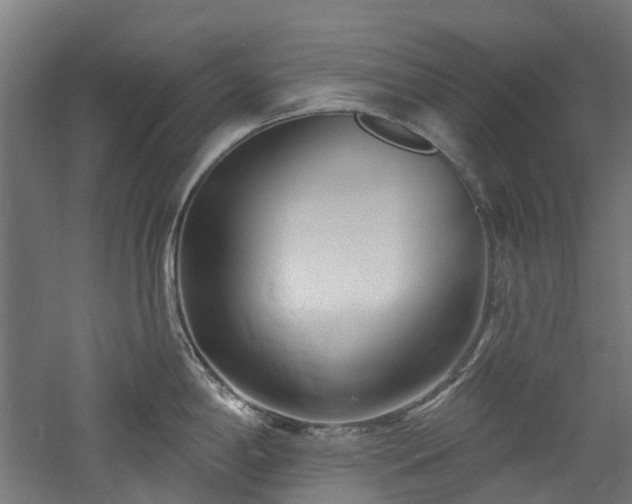 X0000060761198200511101131