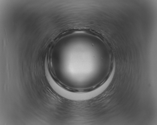 X0000060761202200511101131